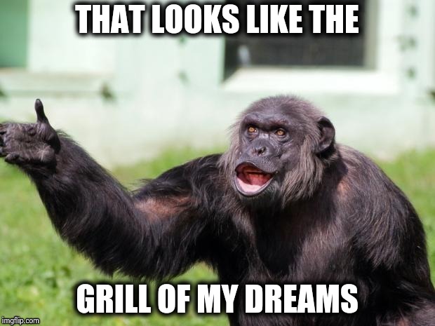 Gorilla your dreams | THAT LOOKS LIKE THE GRILL OF MY DREAMS | image tagged in gorilla your dreams | made w/ Imgflip meme maker