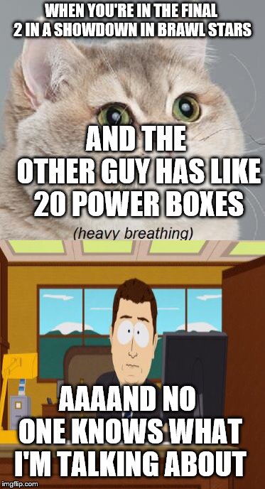 Everyone's playing Fortnite but Brawl Stars is clearly better | WHEN YOU'RE IN THE FINAL 2 IN A SHOWDOWN IN BRAWL STARS; AND THE OTHER GUY HAS LIKE 20 POWER BOXES; AAAAND NO ONE KNOWS WHAT I'M TALKING ABOUT | image tagged in memes,heavy breathing cat | made w/ Imgflip meme maker
