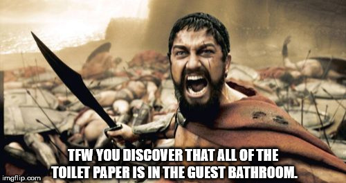 First world problems | TFW YOU DISCOVER THAT ALL OF THE TOILET PAPER IS IN THE GUEST BATHROOM. | image tagged in memes,sparta leonidas,first world problems | made w/ Imgflip meme maker