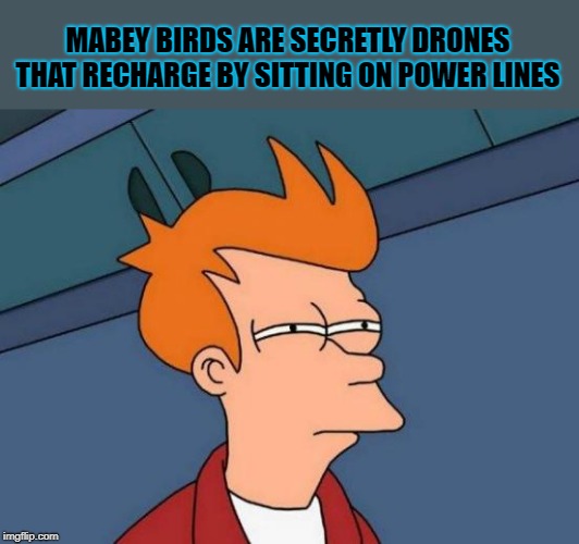 hummmmmmm | MABEY BIRDS ARE SECRETLY DRONES THAT RECHARGE BY SITTING ON POWER LINES | image tagged in memes,futurama fry,drones | made w/ Imgflip meme maker