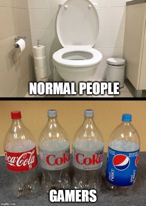 Been there, done that. | NORMAL PEOPLE; GAMERS | image tagged in gamer meme toilet bottle funny | made w/ Imgflip meme maker