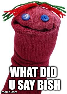 sock puppet | WHAT DID U SAY BISH | image tagged in sock puppet | made w/ Imgflip meme maker