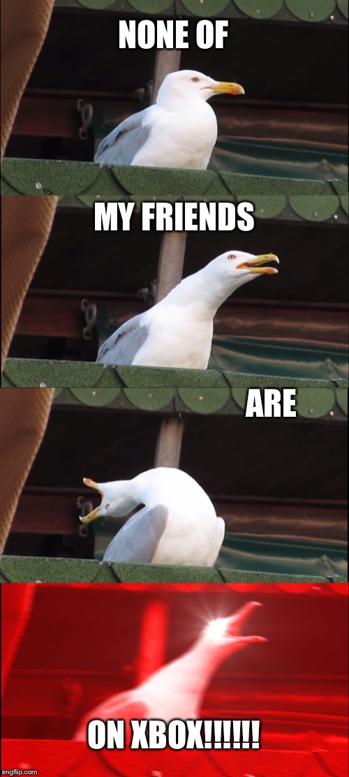 Inhaling Seagull | NONE OF; MY FRIENDS; ARE; ON XBOX!!!!!! | image tagged in memes,inhaling seagull | made w/ Imgflip meme maker