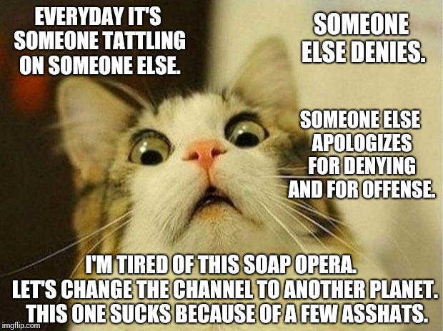 Stop Putting Them In Front of Cameras! | EVERYDAY IT'S SOMEONE TATTLING ON SOMEONE ELSE. SOMEONE ELSE DENIES. SOMEONE ELSE APOLOGIZES FOR DENYING AND FOR OFFENSE. I'M TIRED OF THIS SOAP OPERA.  LET'S CHANGE THE CHANNEL TO ANOTHER PLANET.  THIS ONE SUCKS BECAUSE OF A FEW ASSHATS. | image tagged in memes,scared cat,trump unfit unqualified dangerous,lock him up,liar in chief,trump traitor | made w/ Imgflip meme maker