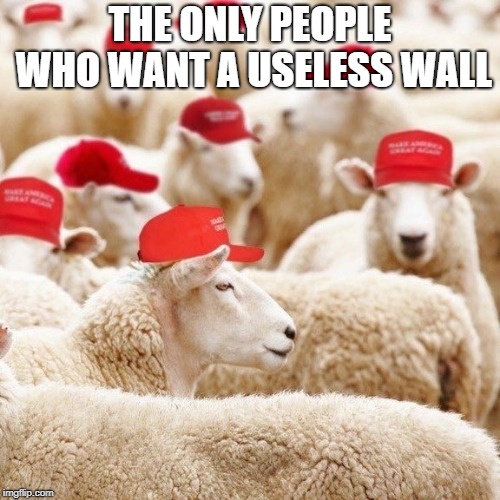 THE ONLY PEOPLE WHO WANT A USELESS WALL | image tagged in trumpsheep | made w/ Imgflip meme maker