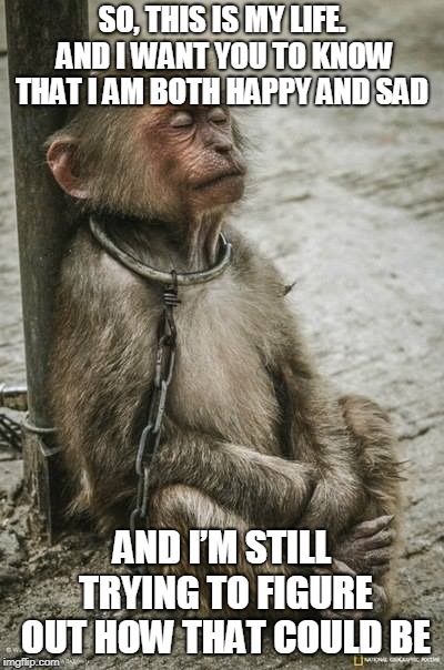Chained Monkey | SO, THIS IS MY LIFE. AND I WANT YOU TO KNOW THAT I AM BOTH HAPPY AND SAD; AND I’M STILL TRYING TO FIGURE OUT HOW THAT COULD BE | image tagged in chained monkey | made w/ Imgflip meme maker