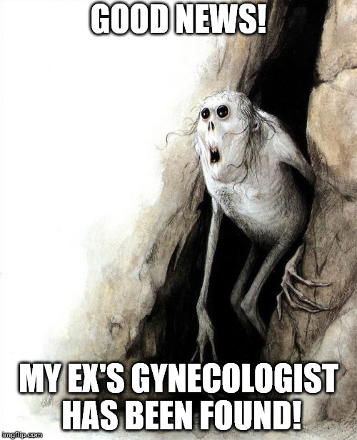 Try a safer profession...like herding rattlesnakes. | GOOD NEWS! MY EX'S GYNECOLOGIST HAS BEEN FOUND! | image tagged in cave meme | made w/ Imgflip meme maker