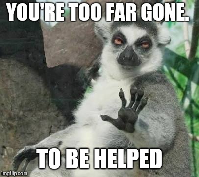 No thanks lemur | YOU'RE TOO FAR GONE. TO BE HELPED | image tagged in no thanks lemur | made w/ Imgflip meme maker