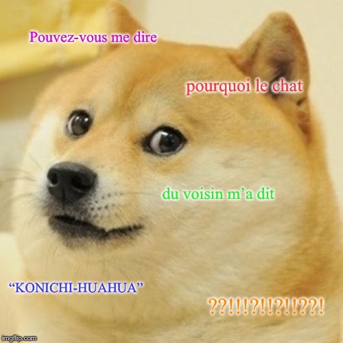 Doge Meme | Pouvez-vous me dire; pourquoi le chat; du voisin m’a dit; “KONICHI-HUAHUA”; ??!!!?!!?!!??! | image tagged in memes,doge | made w/ Imgflip meme maker