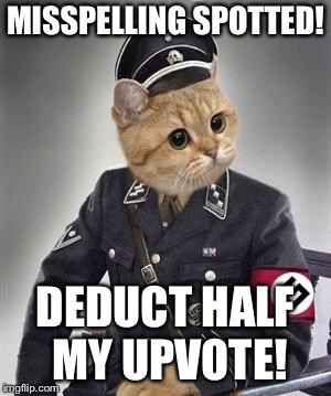 Grammar Nazi Cat | MISSPELLING SPOTTED! DEDUCT HALF MY UPVOTE! | image tagged in grammar nazi cat | made w/ Imgflip meme maker