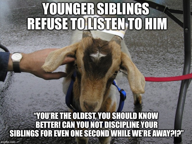 Yeah, like it’s my fault they’re hardheaded, rebellious little gits! | YOUNGER SIBLINGS REFUSE TO LISTEN TO HIM; “YOU’RE THE OLDEST, YOU SHOULD KNOW BETTER! CAN YOU NOT DISCIPLINE YOUR SIBLINGS FOR EVEN ONE SECOND WHILE WE’RE AWAY?!?” | image tagged in sinbad the scapegoat | made w/ Imgflip meme maker