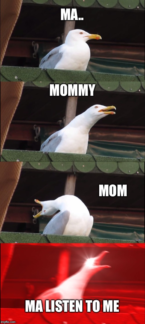 When you’re shopping with your mom and she runs into a friend | MA.. MOMMY; MOM; MA LISTEN TO ME | image tagged in memes,inhaling seagull,mom,family | made w/ Imgflip meme maker