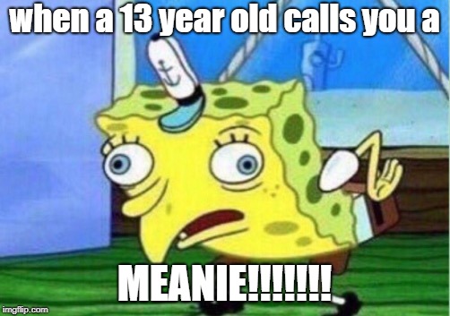 Mocking Spongebob Meme | when a 13 year old calls you a; MEANIE!!!!!!! | image tagged in memes,mocking spongebob | made w/ Imgflip meme maker