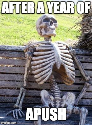 Waiting Skeleton | AFTER A YEAR OF; APUSH | image tagged in memes,waiting skeleton | made w/ Imgflip meme maker