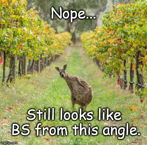 Nope... Still looks like BS from this angle. | image tagged in kangaroo in aussie vinyard | made w/ Imgflip meme maker
