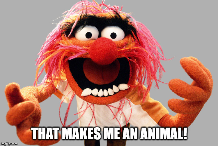 animal muppets | THAT MAKES ME AN ANIMAL! | image tagged in animal muppets | made w/ Imgflip meme maker