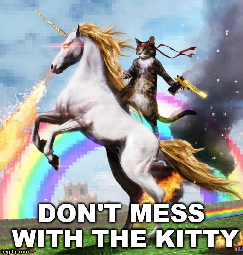 Welcome To The Internets Meme | DON'T MESS WITH THE KITTY | image tagged in memes,welcome to the internets | made w/ Imgflip meme maker