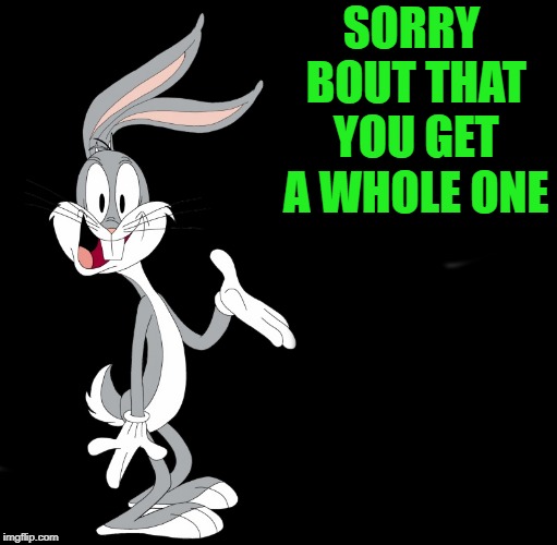 joke bunny | SORRY BOUT THAT YOU GET A WHOLE ONE | image tagged in joke bunny | made w/ Imgflip meme maker