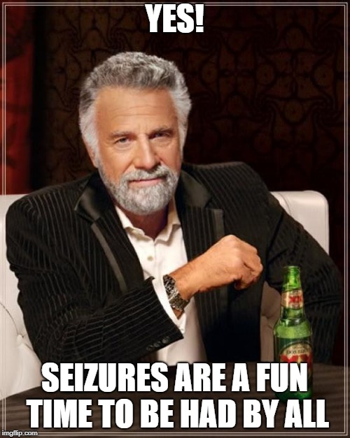 The Most Interesting Man In The World Meme | YES! SEIZURES ARE A FUN TIME TO BE HAD BY ALL | image tagged in memes,the most interesting man in the world | made w/ Imgflip meme maker