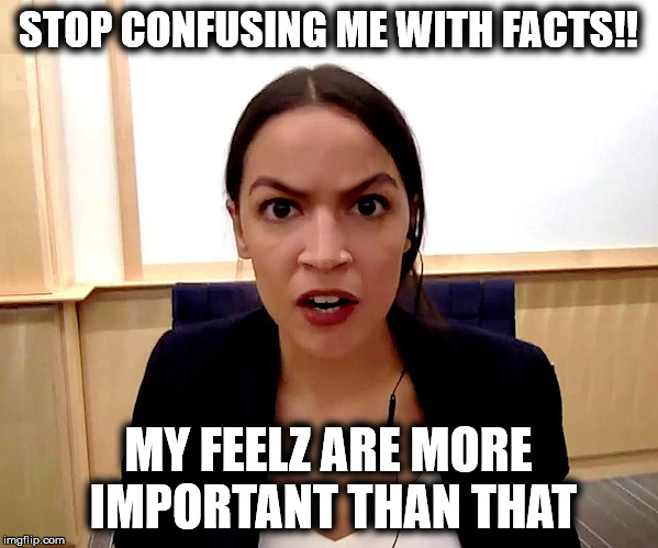 Alexandria Ocasio-Cortez | STOP CONFUSING ME WITH FACTS!! MY FEELZ ARE MORE IMPORTANT THAN THAT | image tagged in alexandria ocasio-cortez | made w/ Imgflip meme maker