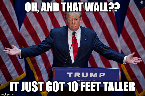 Donald Trump | OH, AND THAT WALL?? IT JUST GOT 10 FEET TALLER | image tagged in donald trump | made w/ Imgflip meme maker