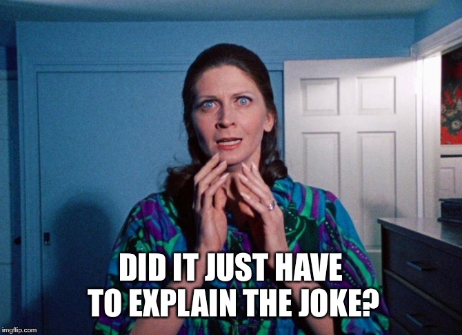 DID IT JUST HAVE TO EXPLAIN THE JOKE? | made w/ Imgflip meme maker