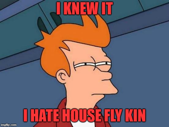 Futurama Fry Meme | I KNEW IT I HATE HOUSE FLY KIN | image tagged in memes,futurama fry | made w/ Imgflip meme maker