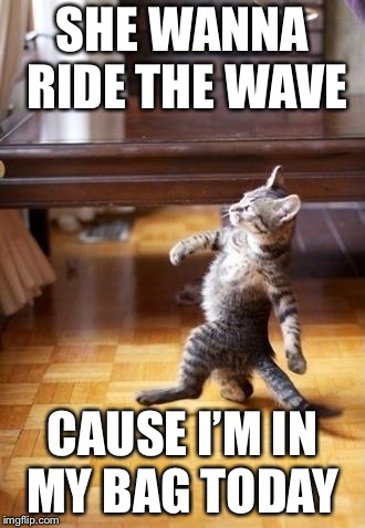 Cool Cat Stroll | SHE WANNA RIDE THE WAVE; CAUSE I’M IN MY BAG TODAY | image tagged in memes,cool cat stroll | made w/ Imgflip meme maker