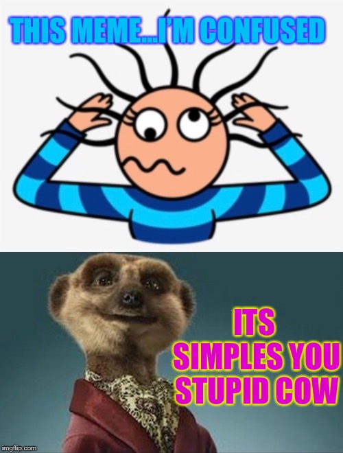 THIS MEME...I’M CONFUSED ITS SIMPLES YOU STUPID COW | made w/ Imgflip meme maker