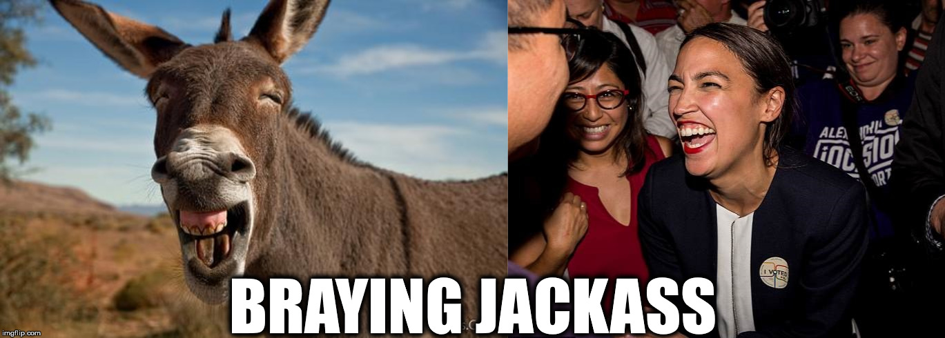 BRAYING JACKASS | image tagged in donkey jackass braying | made w/ Imgflip meme maker