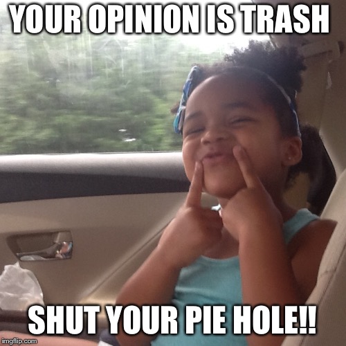 Skye says | YOUR OPINION IS TRASH; SHUT YOUR PIE HOLE!! | image tagged in funny memes | made w/ Imgflip meme maker