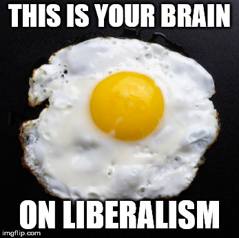 Eggs | THIS IS YOUR BRAIN ON LIBERALISM | image tagged in eggs | made w/ Imgflip meme maker