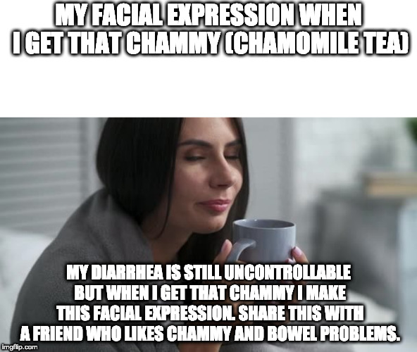 MY FACIAL EXPRESSION WHEN I GET THAT CHAMMY (CHAMOMILE TEA); MY DIARRHEA IS STILL UNCONTROLLABLE BUT WHEN I GET THAT CHAMMY I MAKE THIS FACIAL EXPRESSION. SHARE THIS WITH A FRIEND WHO LIKES CHAMMY AND BOWEL PROBLEMS. | image tagged in cammy t | made w/ Imgflip meme maker