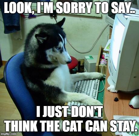 I Have No Idea What I Am Doing |  LOOK, I'M SORRY TO SAY.. I JUST DON'T THINK THE CAT CAN STAY. | image tagged in memes,i have no idea what i am doing | made w/ Imgflip meme maker