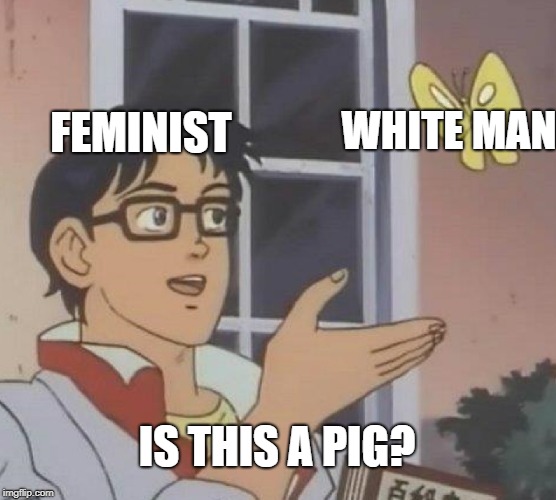 Feminist i don't think so?! | FEMINIST; WHITE MAN; IS THIS A PIG? | image tagged in memes,is this a pigeon | made w/ Imgflip meme maker