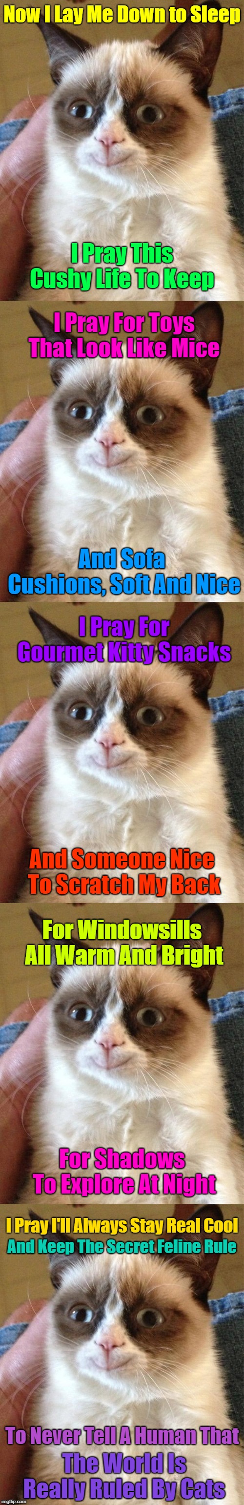 Grumpy's Prayer | Now I Lay Me Down to Sleep; I Pray This Cushy Life To Keep; I Pray For Toys That Look Like Mice; And Sofa Cushions, Soft And Nice; I Pray For Gourmet Kitty Snacks; And Someone Nice To Scratch My Back; For Windowsills All Warm And Bright; For Shadows To Explore At Night; I Pray I'll Always Stay Real Cool; And Keep The Secret Feline Rule; To Never Tell A Human That; The World Is Really Ruled By Cats | image tagged in memes,grumpy cat happy,grumpy cat,wish | made w/ Imgflip meme maker