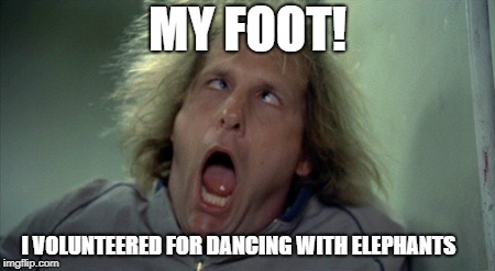Scary Harry Meme | MY FOOT! I VOLUNTEERED FOR DANCING WITH ELEPHANTS | image tagged in memes,scary harry | made w/ Imgflip meme maker