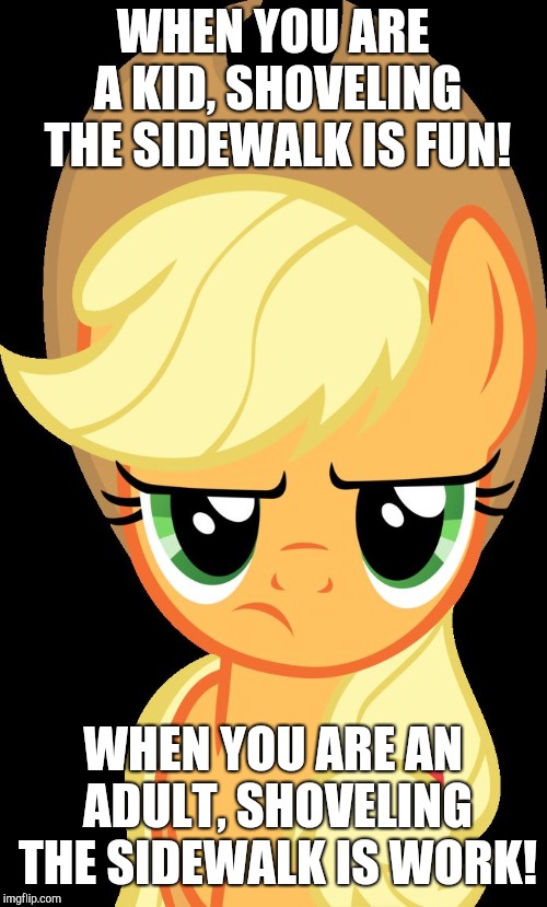 A lot changes when you grow up!  | WHEN YOU ARE A KID, SHOVELING THE SIDEWALK IS FUN! WHEN YOU ARE AN ADULT, SHOVELING THE SIDEWALK IS WORK! | image tagged in applejack is not amused,memes,shovel,snow,kids,adults | made w/ Imgflip meme maker