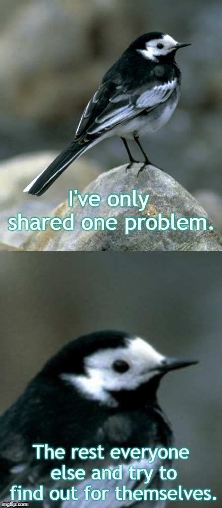 Clinically Depressed Pied Wagtail | I've only shared one problem. The rest everyone else and try to find out for themselves. | image tagged in clinically depressed pied wagtail | made w/ Imgflip meme maker