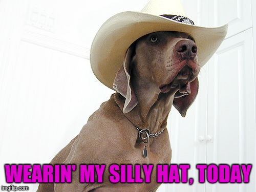 WEARIN' MY SILLY HAT, TODAY | made w/ Imgflip meme maker