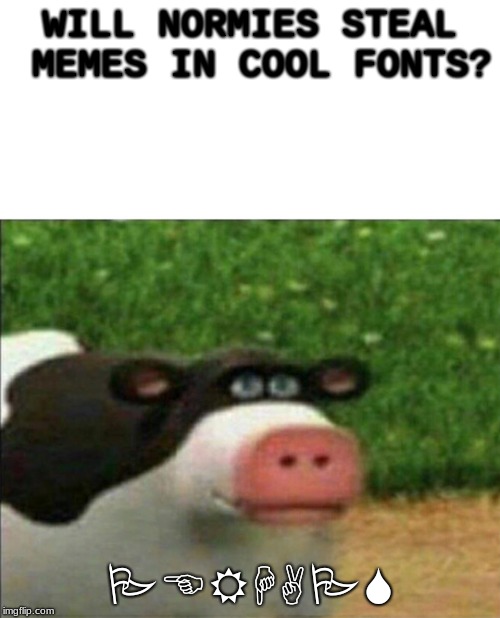 Perhaps cow | WILL NORMIES STEAL MEMES IN COOL FONTS? PERHAPS | image tagged in perhaps cow | made w/ Imgflip meme maker
