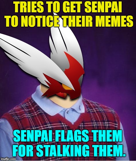 TRIES TO GET SENPAI TO NOTICE THEIR MEMES SENPAI FLAGS THEM FOR STALKING THEM. | image tagged in bad luck blaze the blaziken | made w/ Imgflip meme maker