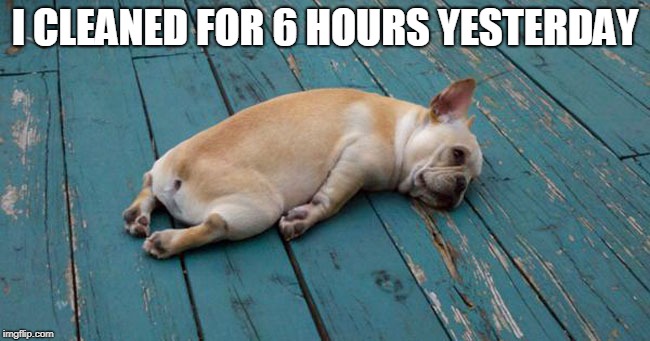 Exhausted  | I CLEANED FOR 6 HOURS YESTERDAY | image tagged in exhausted | made w/ Imgflip meme maker