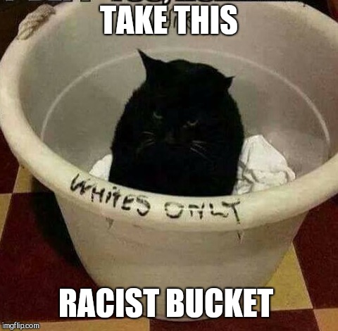 TAKE THIS; RACIST BUCKET | image tagged in laundry discrimination,black cat | made w/ Imgflip meme maker