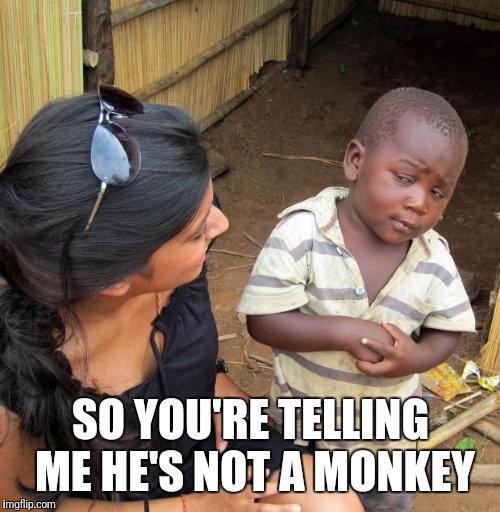 3rd World Sceptical Child | SO YOU'RE TELLING ME HE'S NOT A MONKEY | image tagged in 3rd world sceptical child | made w/ Imgflip meme maker