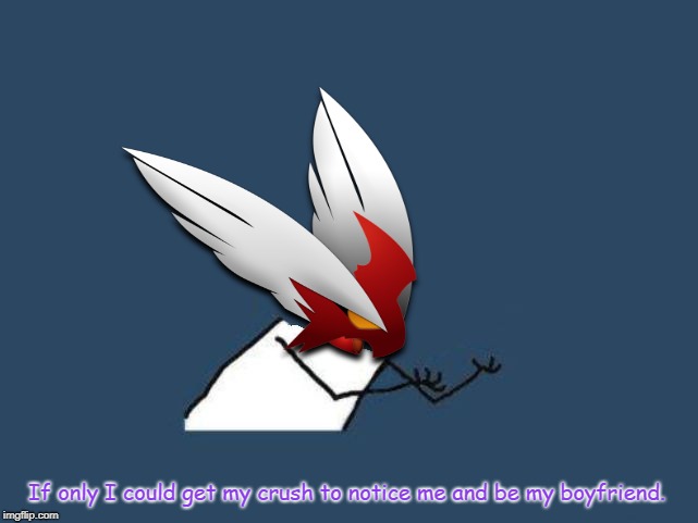 Y u no Blaze the Blaziken | If only I could get my crush to notice me and be my boyfriend. | image tagged in y u no blaze the blaziken | made w/ Imgflip meme maker