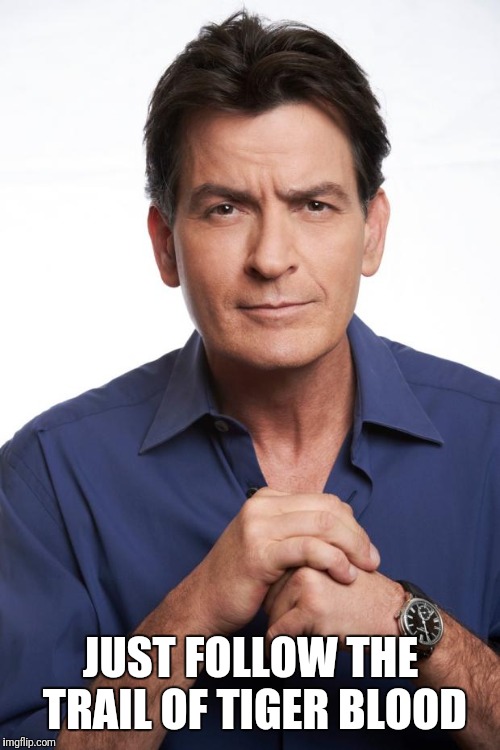 Charlie Sheen | JUST FOLLOW THE TRAIL OF TIGER BLOOD | image tagged in charlie sheen | made w/ Imgflip meme maker
