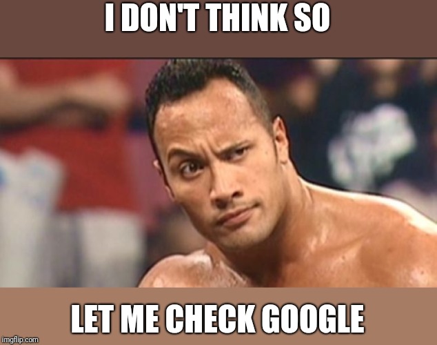 The Rock Eyebrow | I DON'T THINK SO LET ME CHECK GOOGLE | image tagged in the rock eyebrow | made w/ Imgflip meme maker