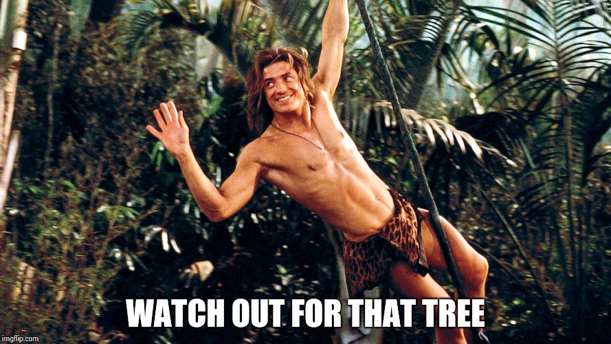 George of the Jungle | WATCH OUT FOR THAT TREE | image tagged in george of the jungle | made w/ Imgflip meme maker