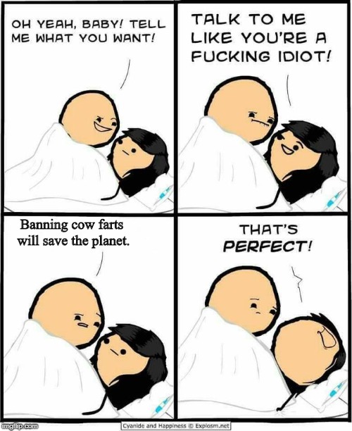 Cyanide and Happiness idiot | Banning cow farts will save the planet. | image tagged in cyanide and happiness idiot | made w/ Imgflip meme maker
